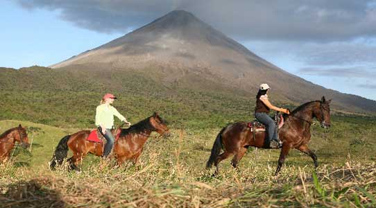 At Üstünde Safari