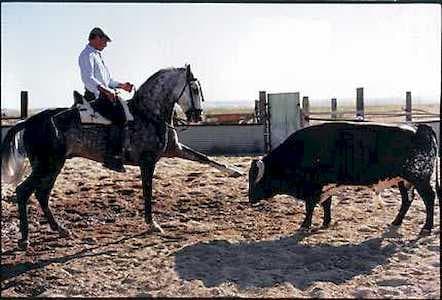 Atlılar