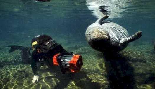 Mavi Dünya Belgesel