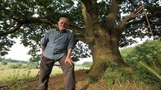 Meşe Ağacının Mevsimsel Değişimi Belgesel