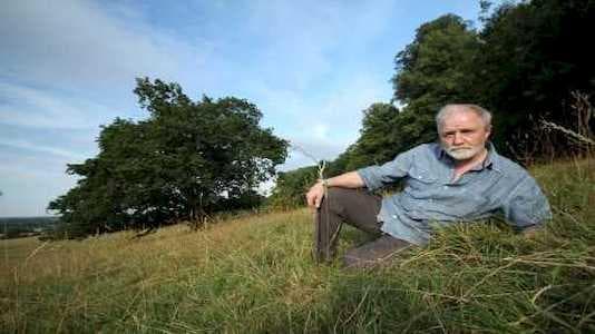 Meşe Ağacının Mevsimsel Değişimi Belgesel